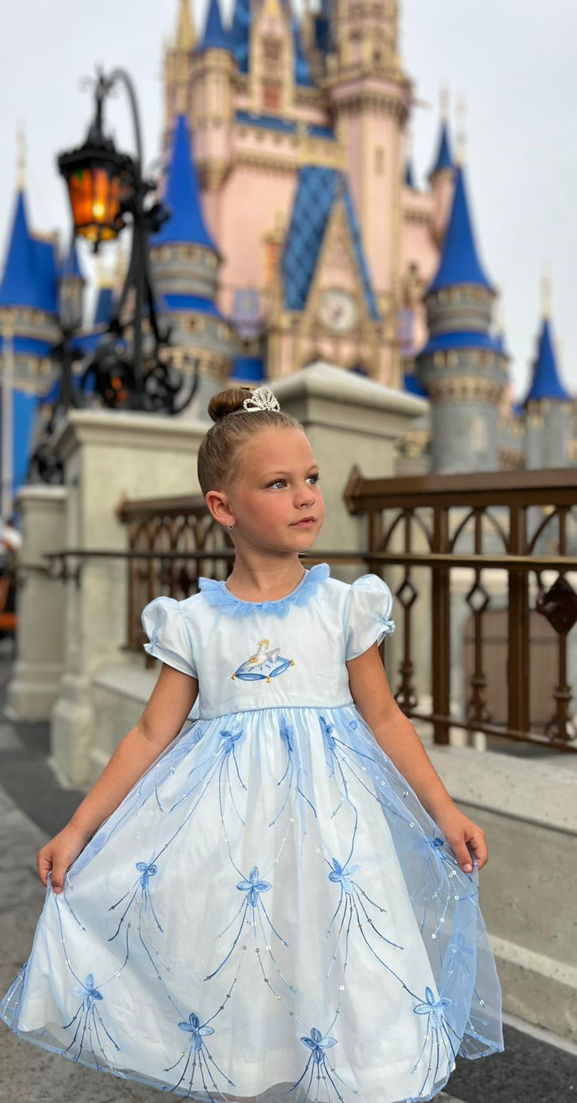 Disney cinderella blue princess handmade high quality dresses Charlotte sy Dimby kids children girl dress