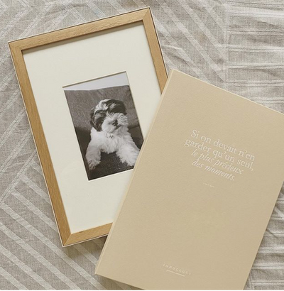 AN AMERICAN IN PARIS (PLUS A PUPPY AND A BÉBÉ ON THE WAY...)