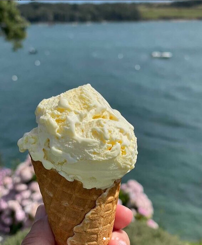 MAKING ICE-CREAM & ALL ABOUT VANILLA