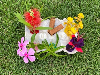 NATURE'S COLORING BOX